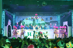 1_Kappensitzung_2026_085_klein