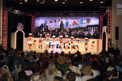 1_2_Kappensitzung_2026_012_klein