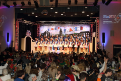 1_2_Kappensitzung_2026_032_klein