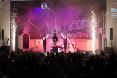 1_2_Kappensitzung_2026_066_klein