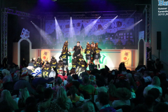 1_2_Kappensitzung_2026_081_klein