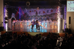 1_2_Kappensitzung_2026_086_klein