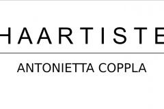 Haartiste