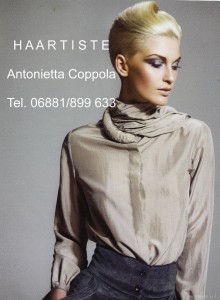 haartiste      